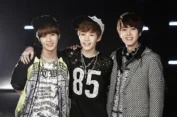 The Evolution of K-pop Criticism and Fandom Dynamics in the Digital Age: A Retrospective on the Seoulbeats Impact