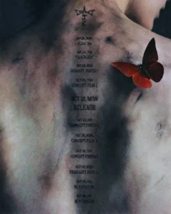 zerobaseones-sung-han-bin-gears-up-for-solo-debut-with-release-of-deadalive-ep-scheduler